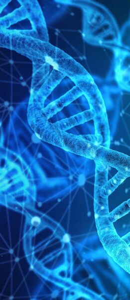 Erfüllen Sie die gesetzlichen Anforderungen und internationalen Normen für die ISO 13485-Zertifizierung