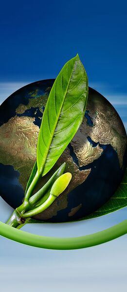 ISO-zertifziertes Umweltmanagementsystem