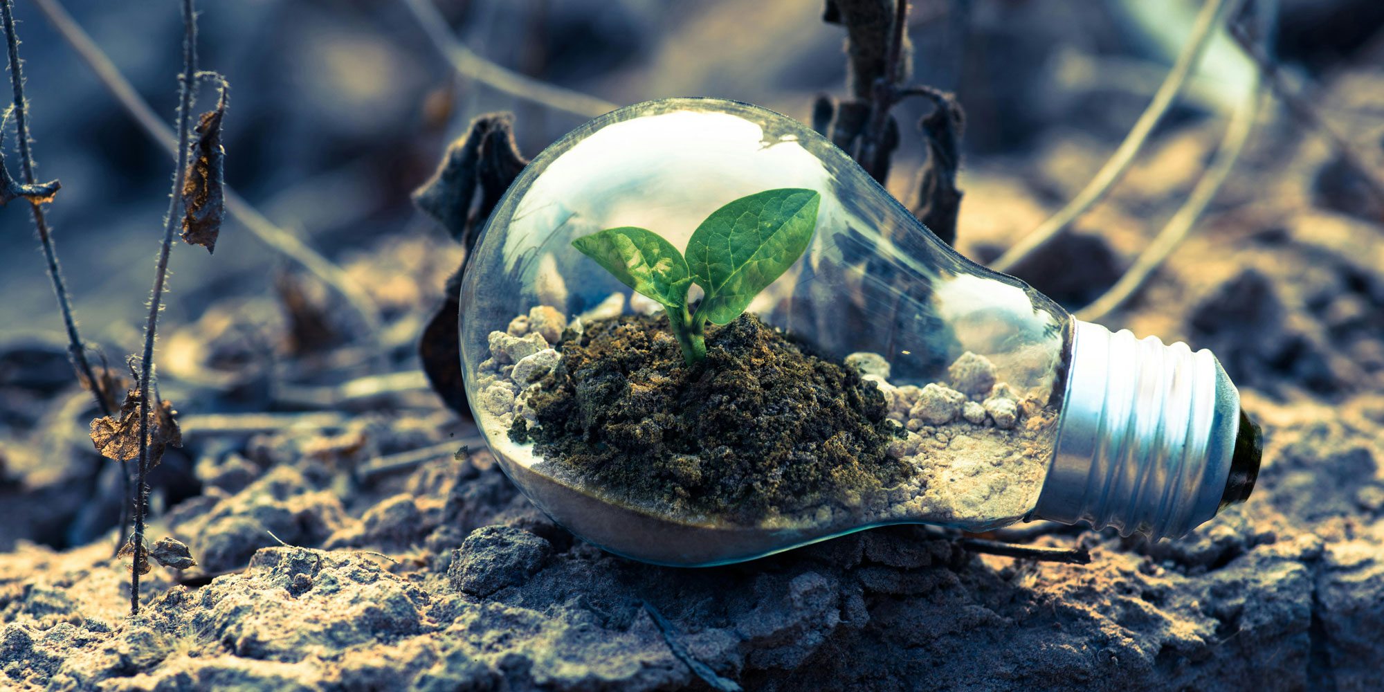 Umweltschutz und Nachhaltigkeitsbilanz fördern – mit einem Umweltmanagementsystem nach ISO 14001.